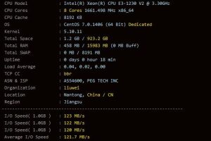 RAKsmart E3-1230测评