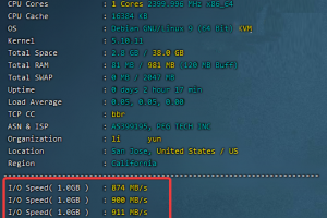 RAKsmart韩国VPS测评