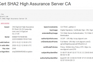 DigiCert SHA2 High Assurance Server CA