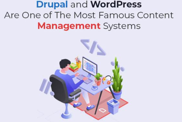 WordPress与Drupal哪个好？