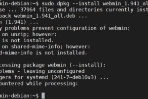 如何在Hostwinds VPS主机Debian 10系统上安装Webmin面板