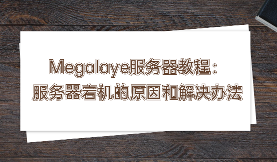 megalayer服务器教程