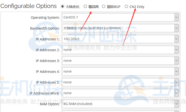 美国CN2 GIA服务器怎么样