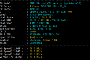 RAKsmart香港VPS评测