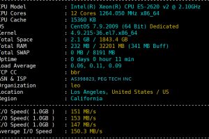 RAKsmart洛杉矶服务器评测
