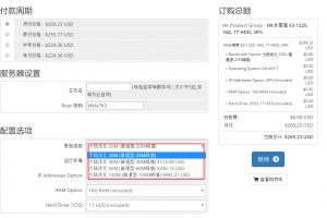 RAKsmart香港大宽带服务器