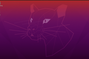 完成Ubuntu 20.04双系统安装