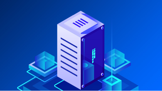 DediPath美国VPS五折促销