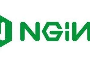 Nginx