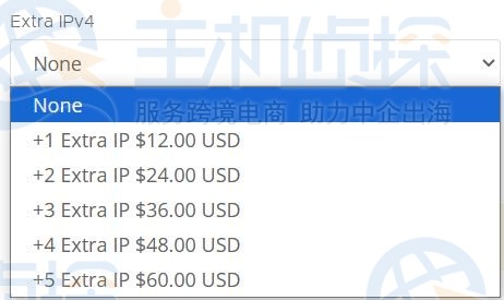 RackNerd美国站群VPS