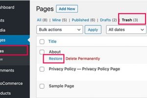 WordPress网站如何恢复已删除的页面