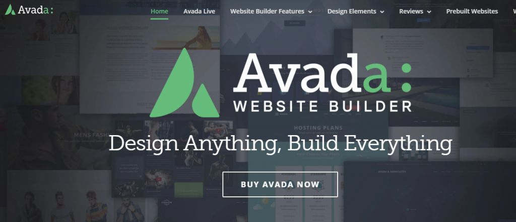 ThemeForest WordPress主题