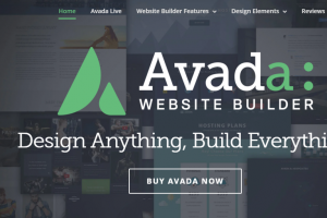 ThemeForest WordPress主题