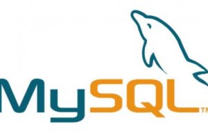 创建mysql用户