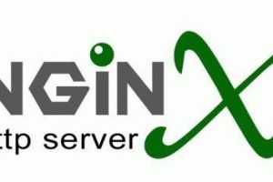 Nginx安装后启动失败如何解决