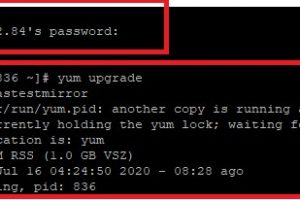 PacificRack VPS连接不上SSH如何解决