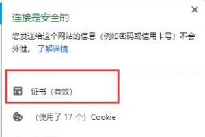 如何查看HTTPS网站安装的SSL证书版本