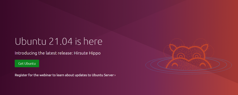 Ubuntu 21.04