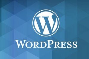 WordPress网站打开出现白屏怎么办