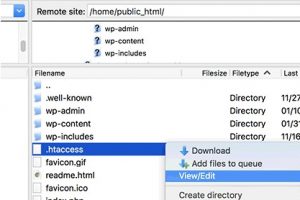 WordPress网站500内部服务器错误如何修复