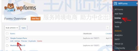 如何将WordPress表单导出到Excel中