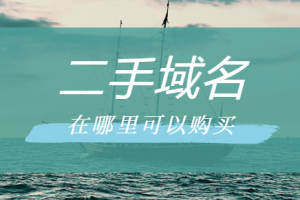 二手域名