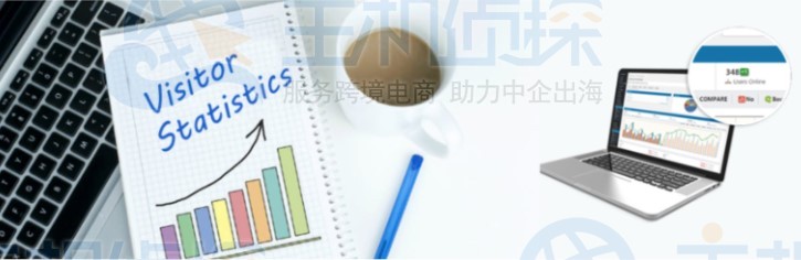 WordPress访客统计插件