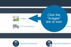 cPanel面板如何更改图像格式