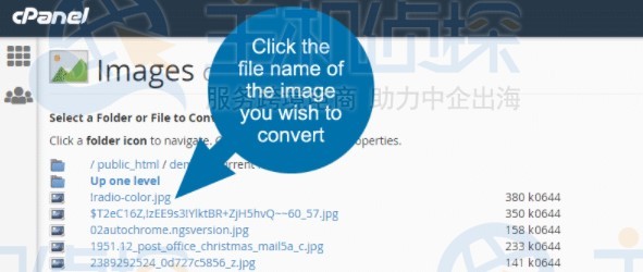 cPanel面板如何更改图像格式
