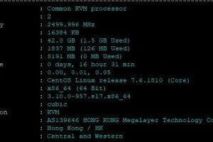 Megalayer菲律宾VPS