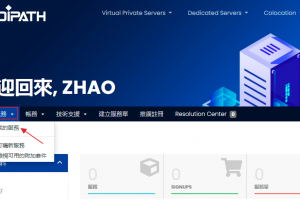 DediPath后台管理页面