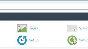 cPanel面板中如何手动还原删除的文件