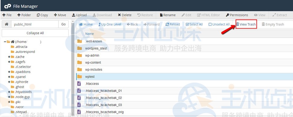 cPanel面板中如何手动还原删除的文件