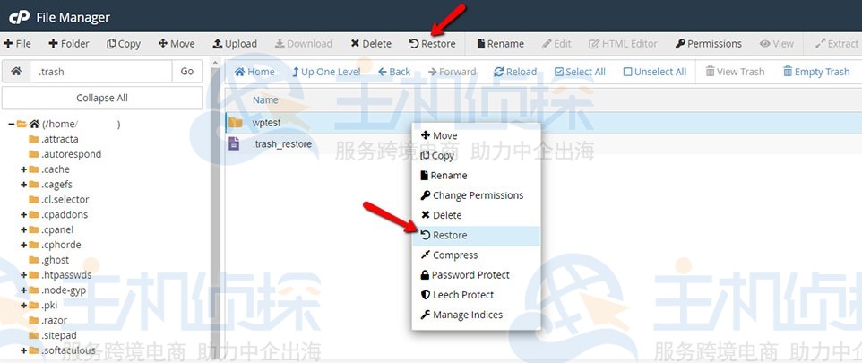 cPanel面板中如何手动还原删除的文件