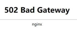Nginx 502 bad gateway