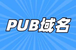 pub域名