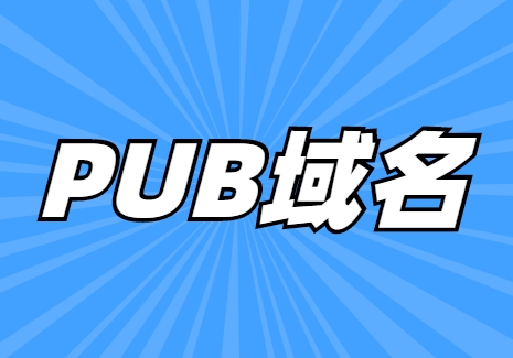 pub域名