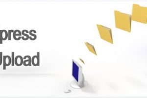 WordPress文件上传插件