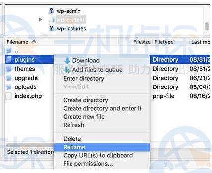 WordPress网站503报错