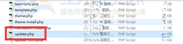 自动升级WordPress失败