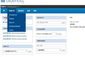 BlueHost主机独立IP购买