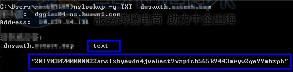 Windows系统如何验证DNS解析生效