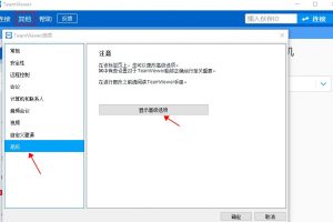 TeamViewer自动更新