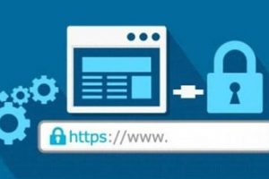 https证书和SSL证书