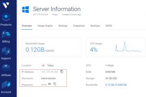 Vultr Windows主机的信息