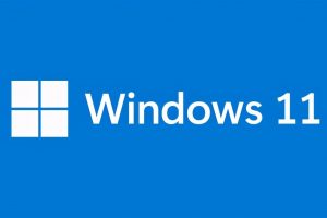 Windows 11