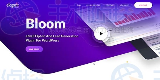 WordPress弹窗插件