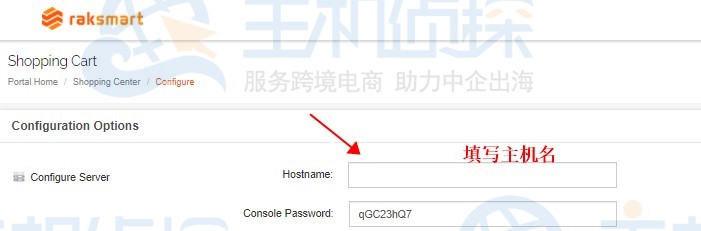 RAKsmart美国服务器主机名
