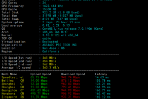 RAKsmart美国大带宽服务器评测