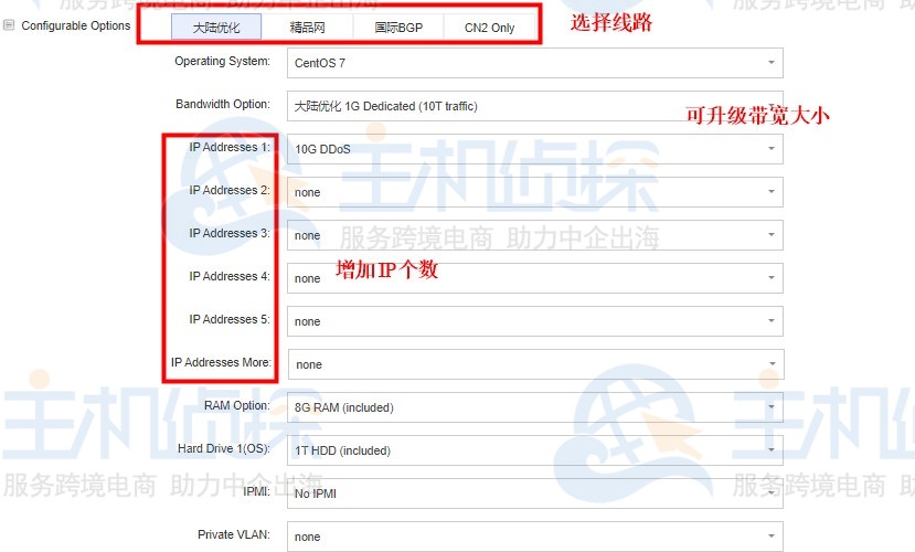 RAKsmart美国服务器配置